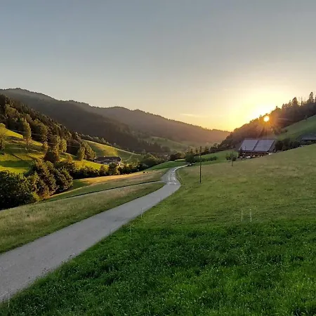 Irgendwo Im Schwarzwald Apartment